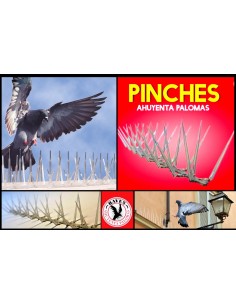 AHUYENTA PALOMAS PINCHES... 2