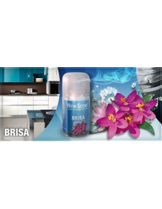 DESODORANTE NEW SCENT BRISA...