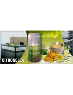 DESODORANTE NEW SCENT...