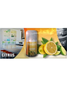 DESODORANTE NEW SCENT...