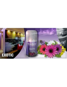 DESODORANTE NEW SCENT...