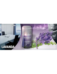 DESODORANTE NEW SCENT...