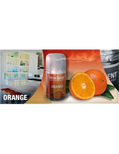 DESODORANTE NEW SCENT...