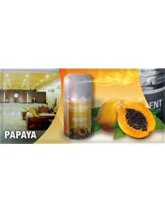 DESODORANTE NEW SCENT...