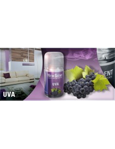 DESODORANTE NEW SCENT UVA 185G
