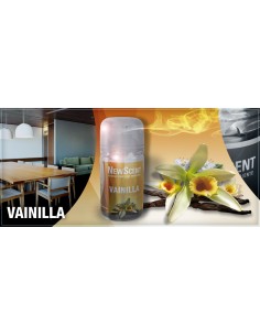 DESODORANTE NEW SCENT...