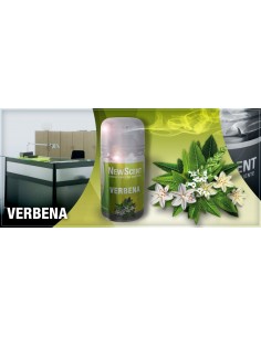 DESODORANTE NEW SCENT...