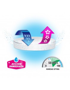 REPUESTO ANTIHUMEDAD NEUTRO... 2