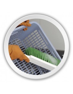 CEPILLO M LAVA CANASTOS... 2