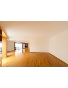 LIMPIADOR DE PISO... 2