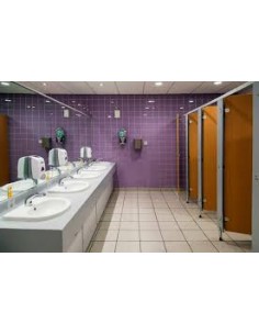 LIMPIADOR DESINFECTANTE... 2