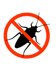 INSECTICIDA BINKA VENGANCE... 2