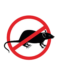 RATICIDA BINKA PANIC X 100G 2