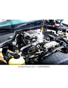 DESENGRASANTE MOTOR SILISUR... 2