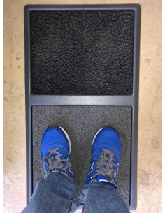 BANDEJA DESINFECCION... 2