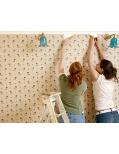 QUITA PAPELES GEL MERCLIN 2L 2