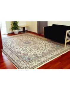 LIMPIADOR DE  ALFOMBRAS... 2