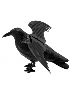 AHUYENTA PALOMAS PRESENCIA...